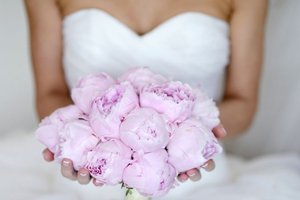 Bridal Show & Wedding Expo